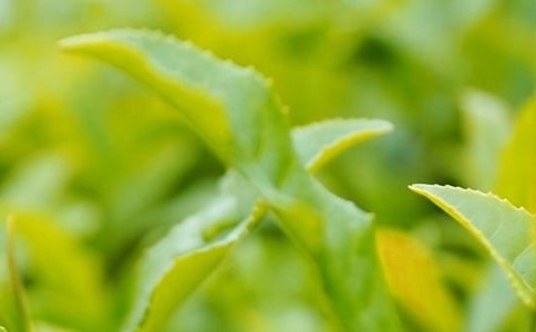 ���^���~�����^����