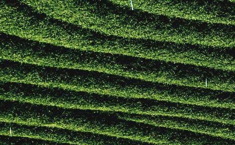 ��W(xu��)���~���̘I(y��)Ӌ����