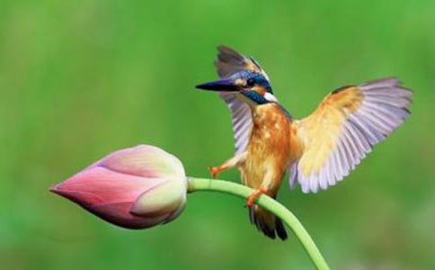 �����B���ڶ��n�r(sh��)�Ľ̌W(xu��)�O(sh��)Ӌ(j��)