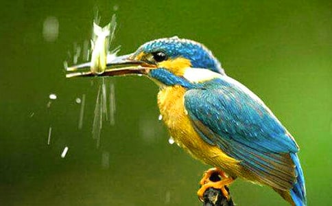 �P(gu��n)�ڴ��B�̰�ģ��R����ƪ