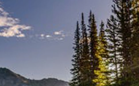 �콭Դ�^���L(f��ng)��ɢ��