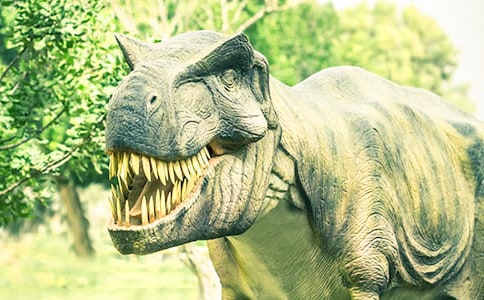 ������g��ӡ��������̰�