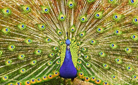 ���꼉�σ����g(sh��)�������Ŀ�ȸ����(y��u)��̌W(xu��)�O(sh��)Ӌ(j��)