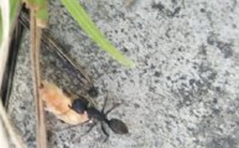 ��x�𰸡�Λρ���s��