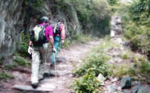 ��ɽ���F(xi��n)������x��