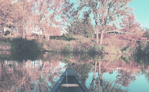 С�W(xu��)�＾����꠹���Ӌ��