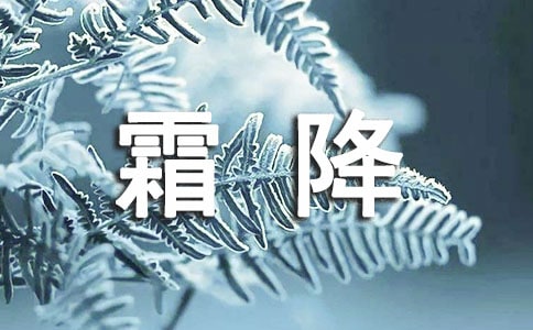 霜降走心文案2篇