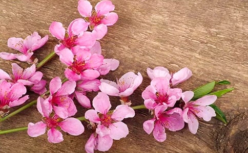 ���������һ�ʮ��