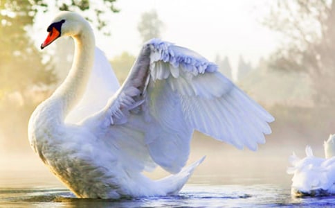 �����Z�����r�����~����(y��u)��̌W�O(sh��)Ӌ