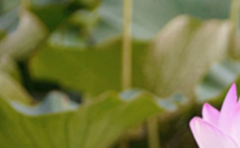 ����������(j��ng)�����