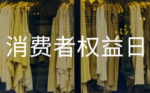 消費(fèi)者權(quán)益日作文【集合6篇】