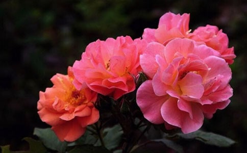 ���е��¼�����