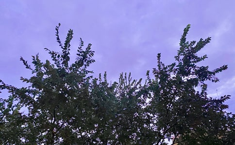 �����]��2023���(d��ng)�˵��簲����Ȧ�����Z(y��)����51�l