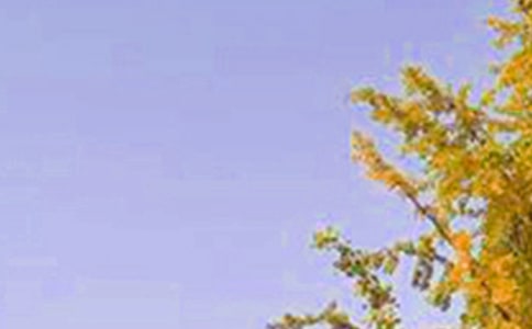 �����簲���������Zժ䛣����x95�䣩