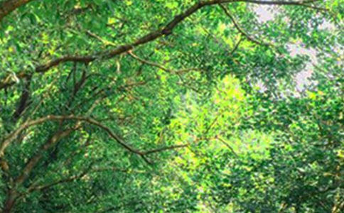 ��M���������簲�����ղ�