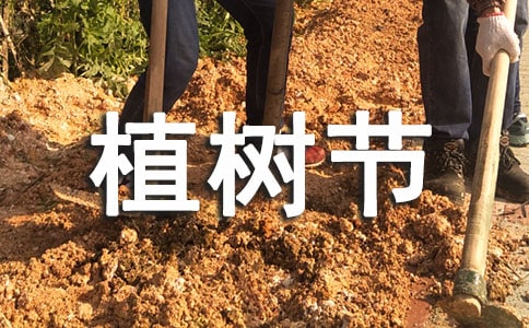 3.12ֲ�九(ji��)��Ӳ߄���