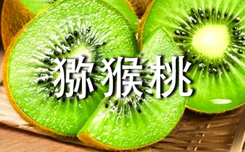 (熱門)獼猴桃作文11篇