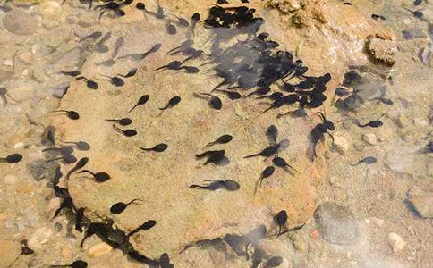 С�W(xu��)���g(sh��)�n��С���